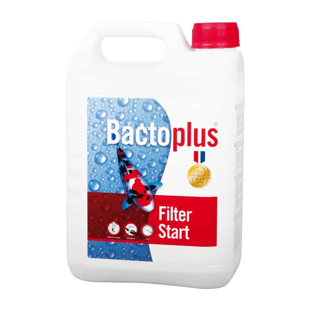 BactoPlus Filter Start 2,5 L – Bactéries de lancement