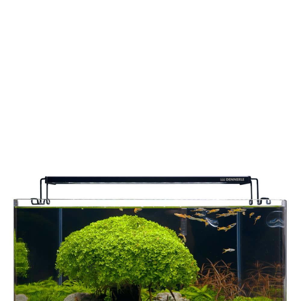 Dennerle Trocal Flat 35 – 30 à 45 cm – Image 2