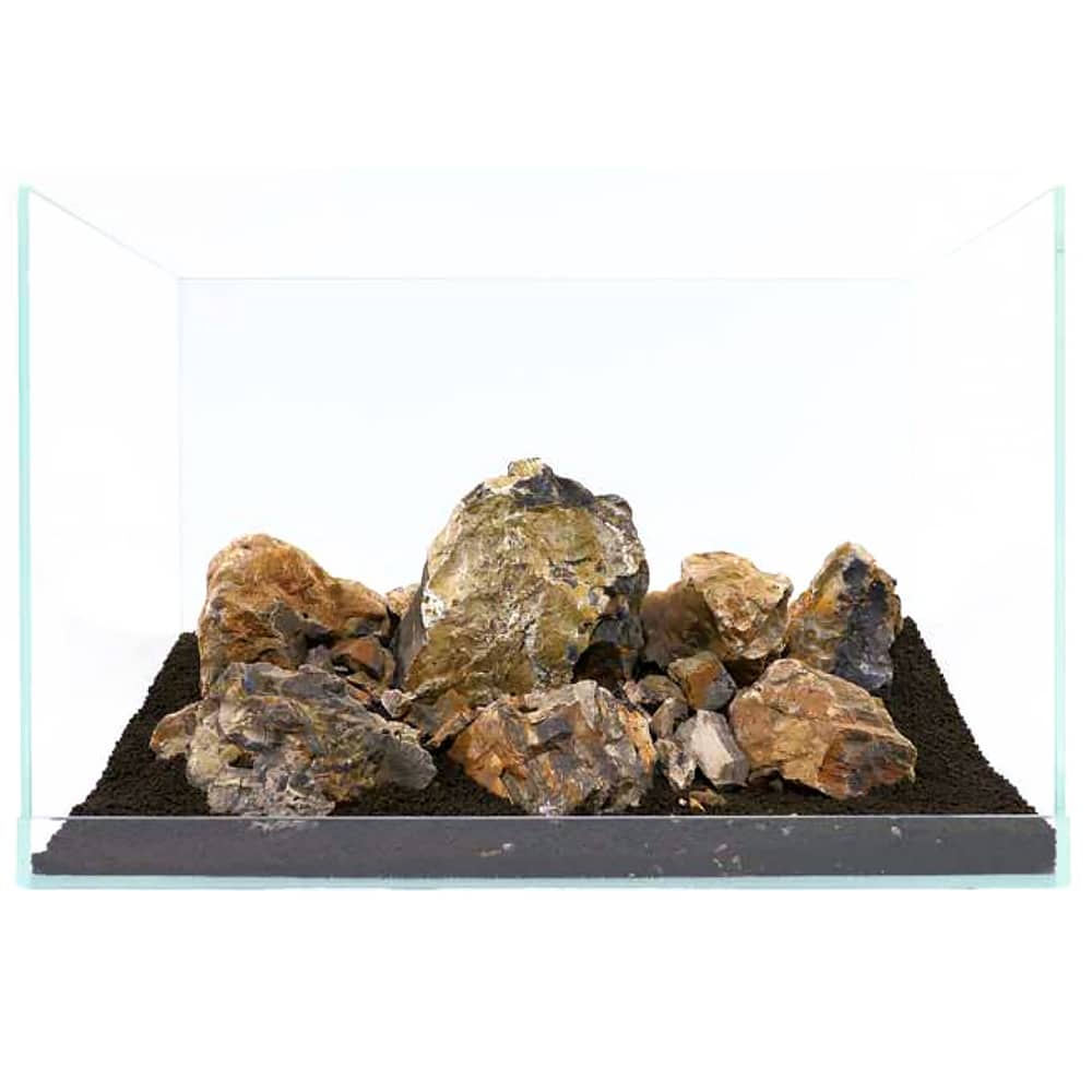 Fossil Wood – Image 3
