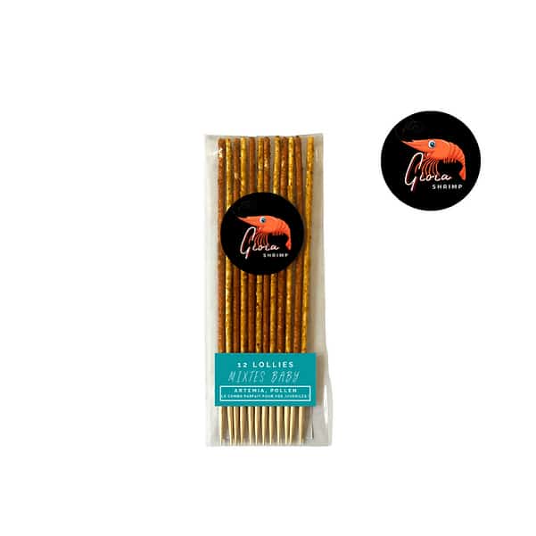 Gioia Shrimp – Lot de 12 lollies Mixte Baby