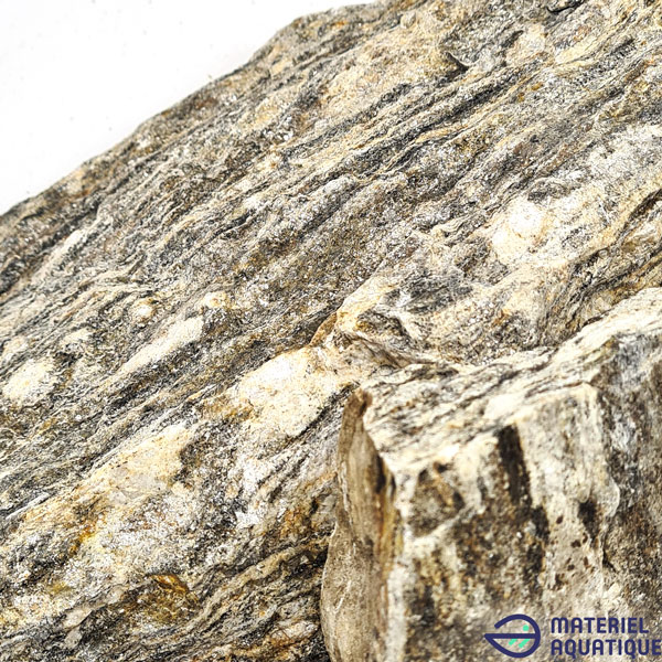 Grey Fossil Wood : bois fossilisé – Image 4