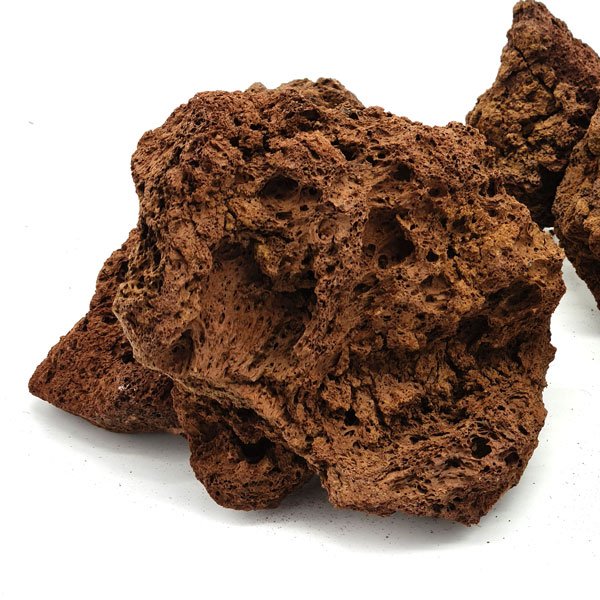 Tropica Lava Rock : 8 à 15 cm