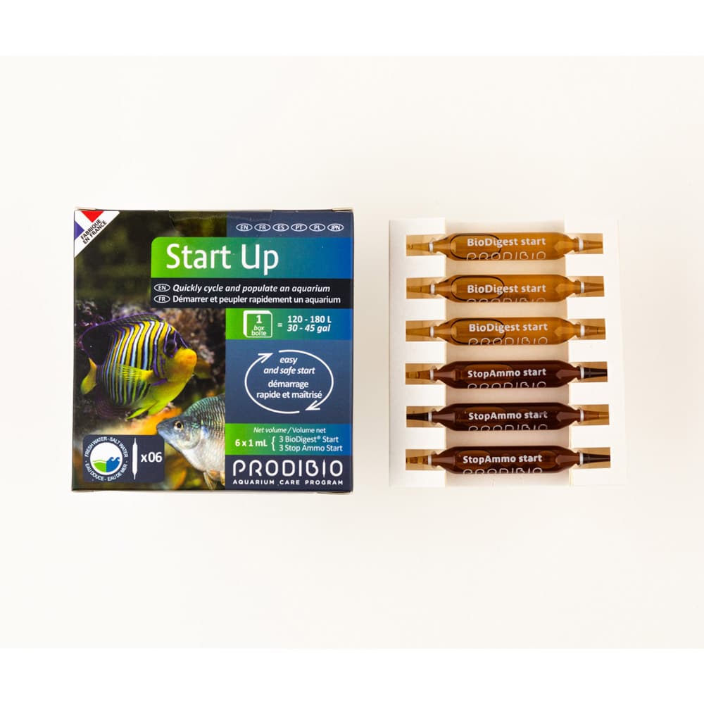 Prodibio Start Up 6 ampoules – pour peupler rapidement un aquarium