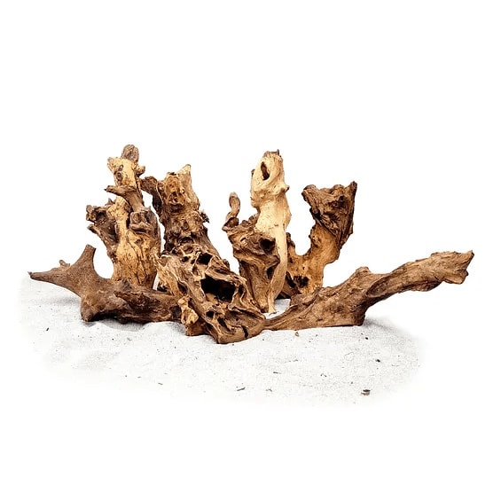 Racine Golden Wood