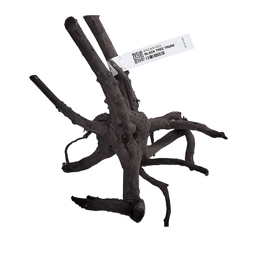 Racine Tree Trunk Noire : 20 à 40cm – Image 2
