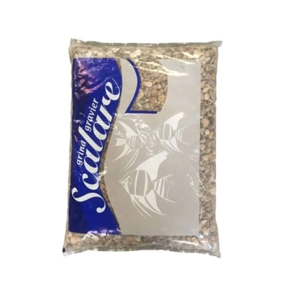 Scalare Britisch Royal Brown 5-8mm 4 KG – Image 2