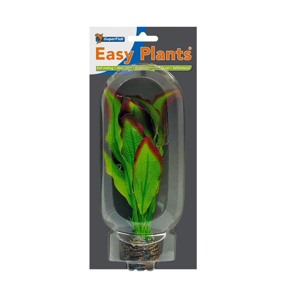 SuperFish Easy Plants Echinodorus – 20 cm
