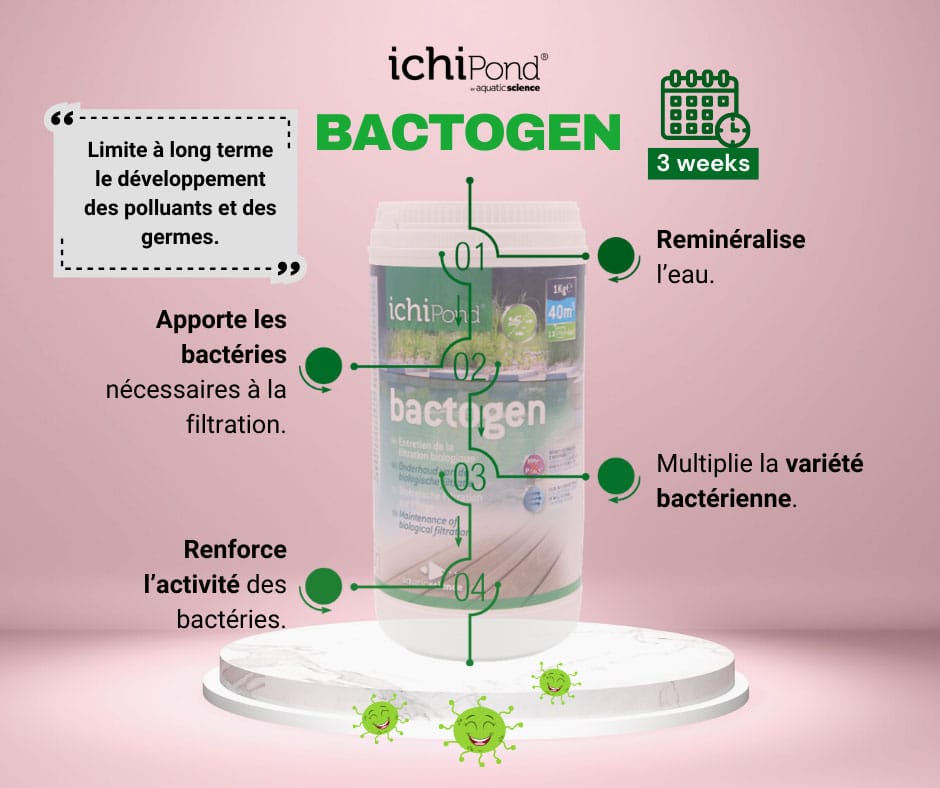 Aquatic Science Bactogen 24000 – Bactéries pour bassin jusqu’à 24000L – Image 3