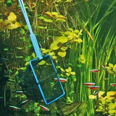 Épuisette JBL maille fine 15 cm manche long – Image 2
