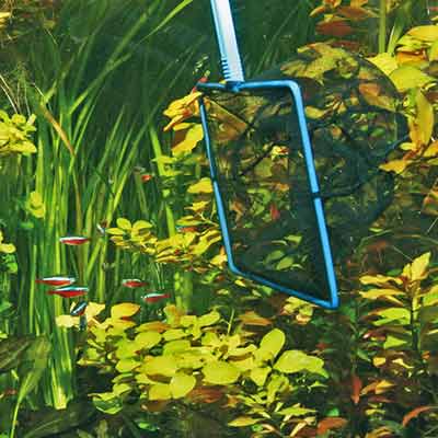 Épuisette JBL maille large 15 cm manche long – Image 2