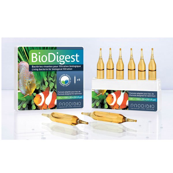 Prodibio BioDigest 6 ampoules – bactéries d’entretien pour aquarium