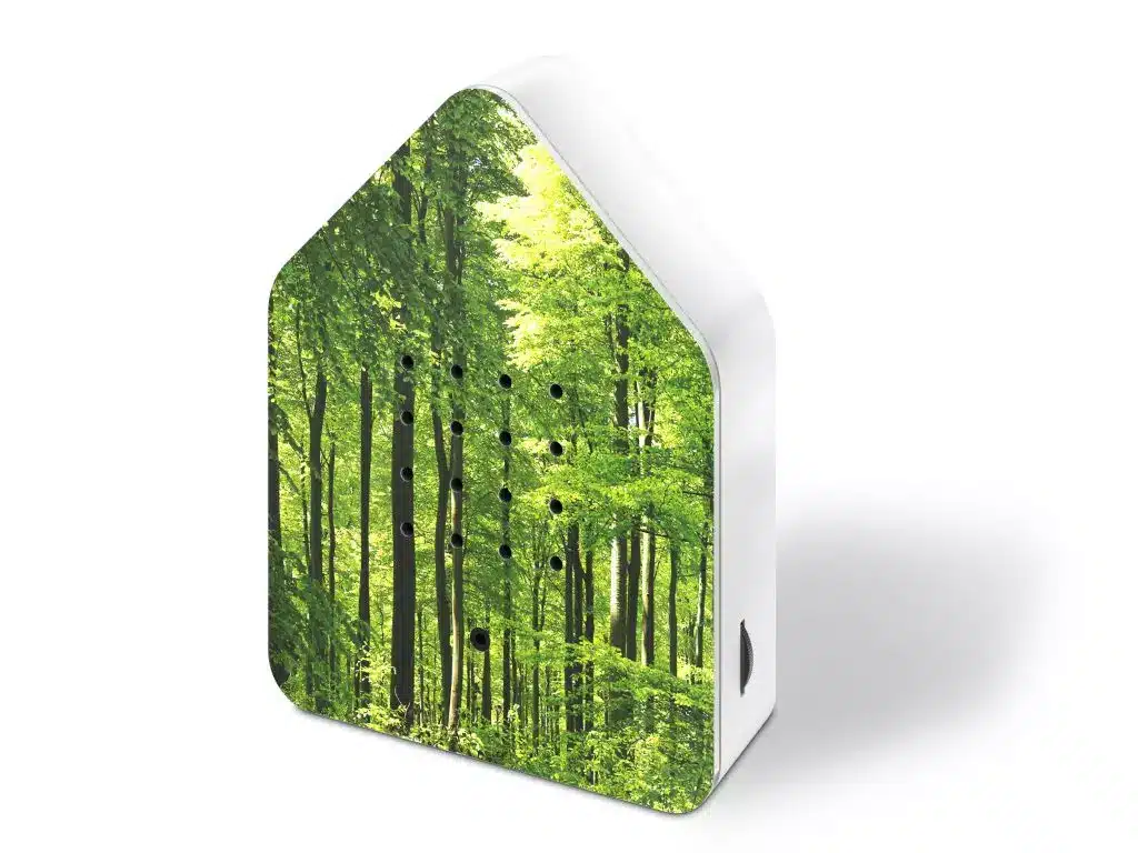 Zwitscherbox Forêt, Relaxound – Image 3