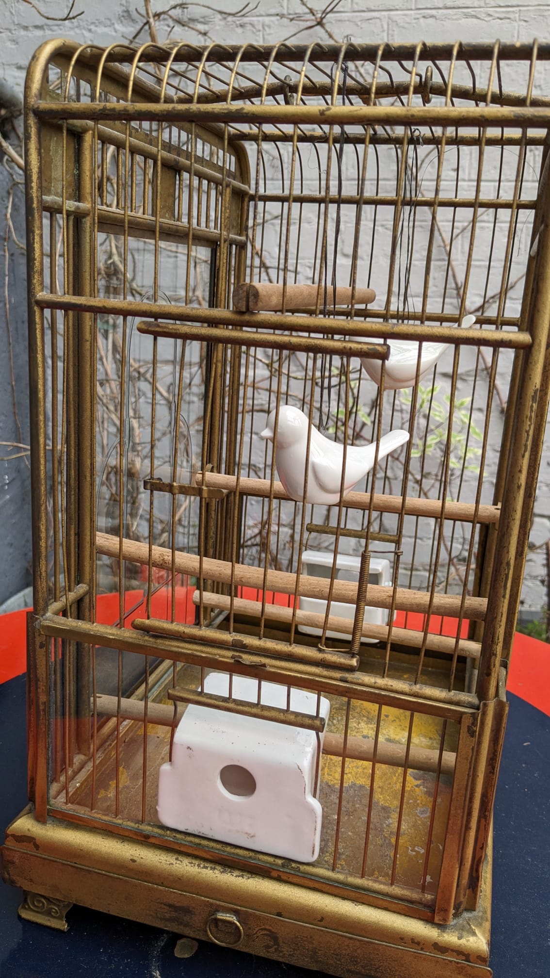 Cage Oiseaux – Image 6