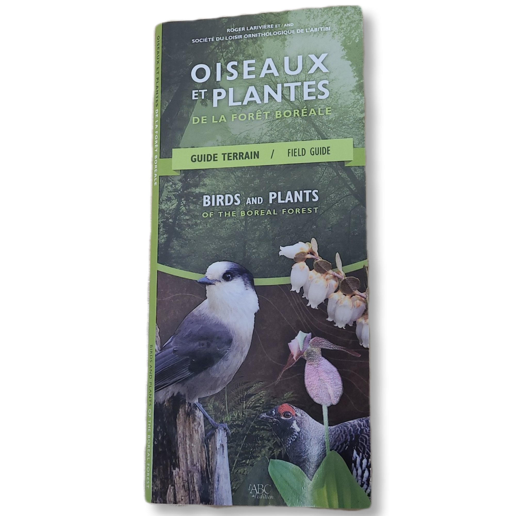 Oiseaux et plantes de la forêt boréale (guide de terrain)